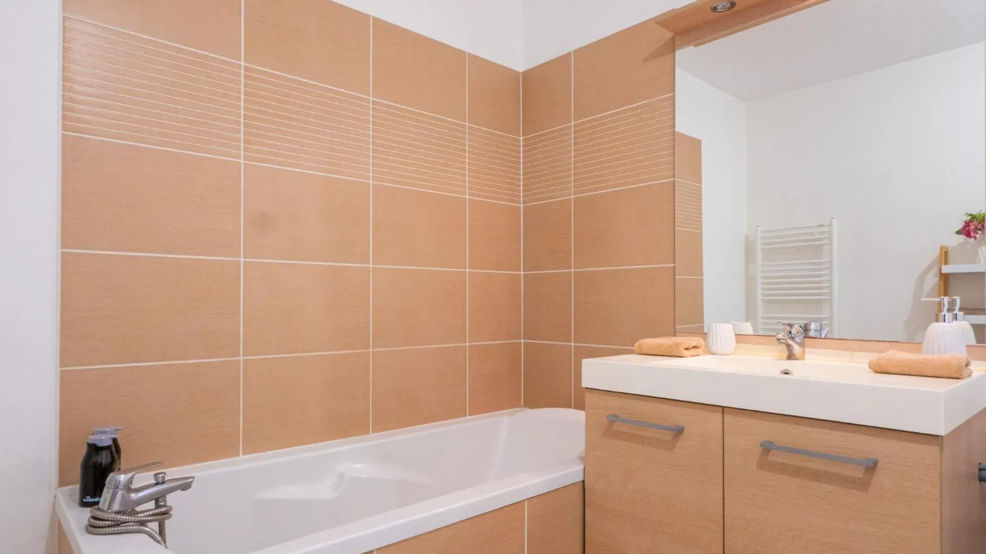 Le Cocon De Saint-Priest 1 Chambre Terrasse Et Parking Francia